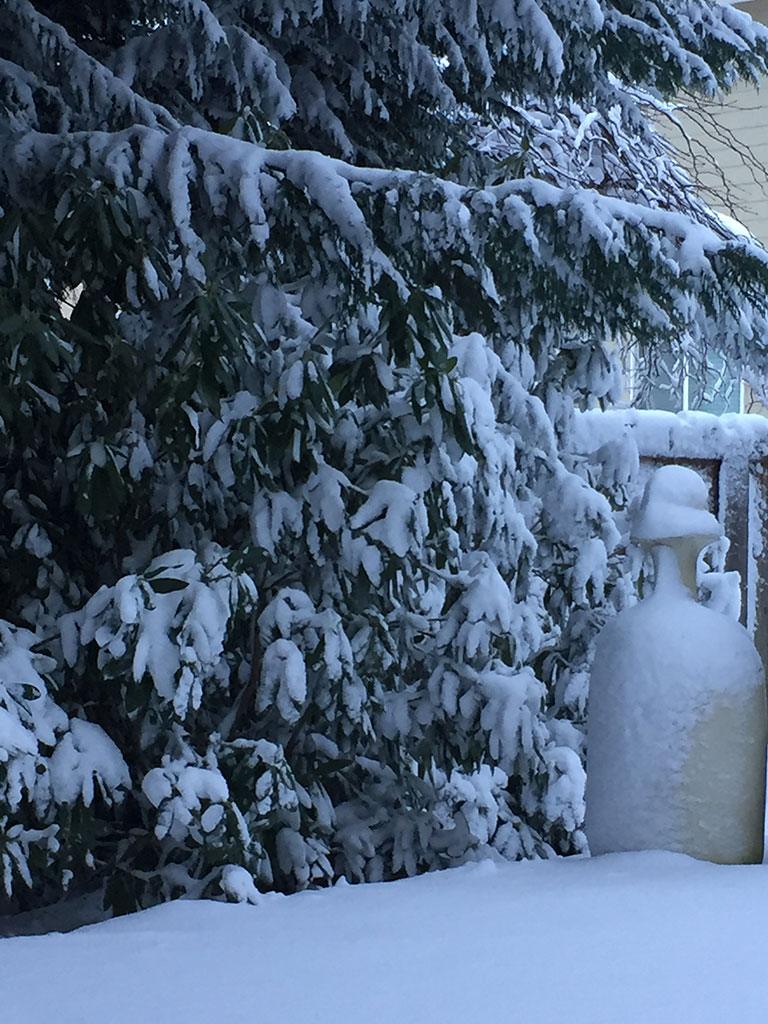 Snowy Backyard