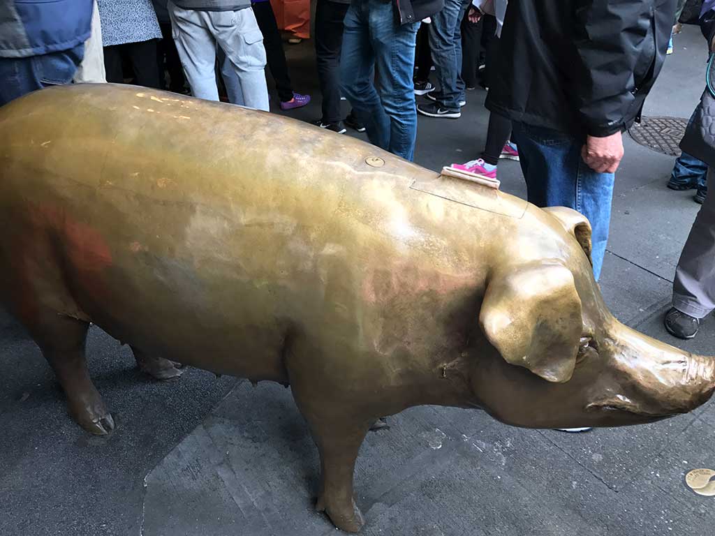 Rachel the Pig